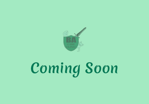Coming-Soon Coming Soon placeholder