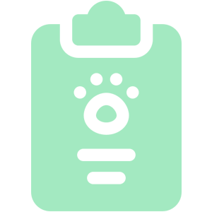 Exam-report icon