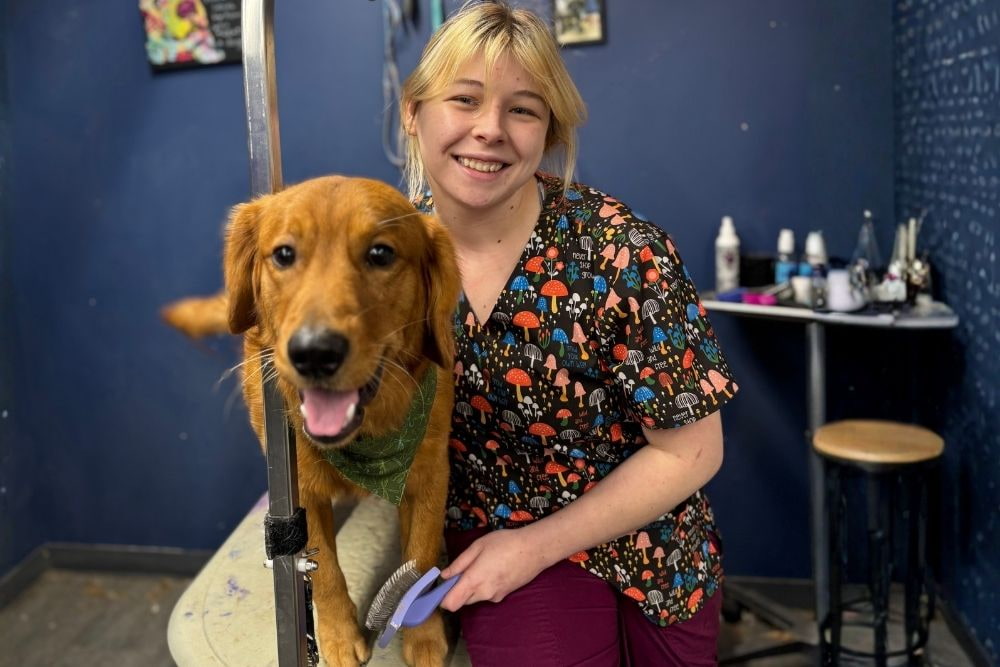 A groomer with a golden retriever dog in a grooming salon. The groomer is holding a brush and the dog is wearing a green bandana.