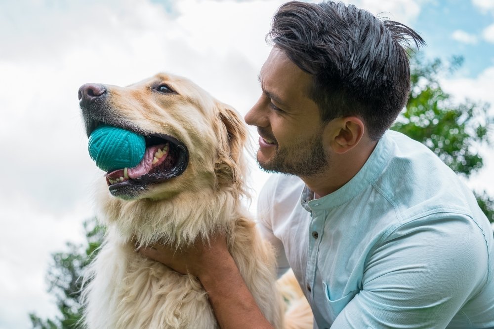 A person plays with a golden retriever dog holding a teal ball in its mouth outdoors under a cloudy sky. A person plays with a golden retriever dog holding a teal ball in its mouth outdoors under a cloudy sky.